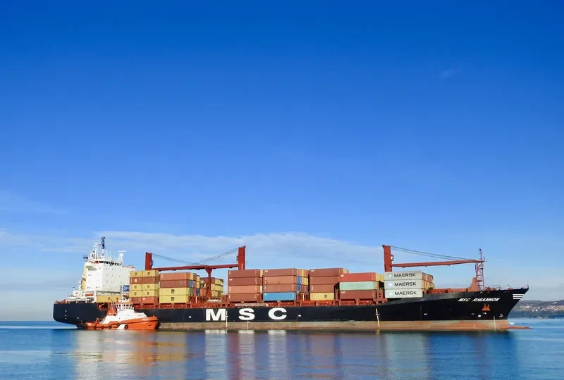 MSC RHIANNON Container Ship IMO 9224051