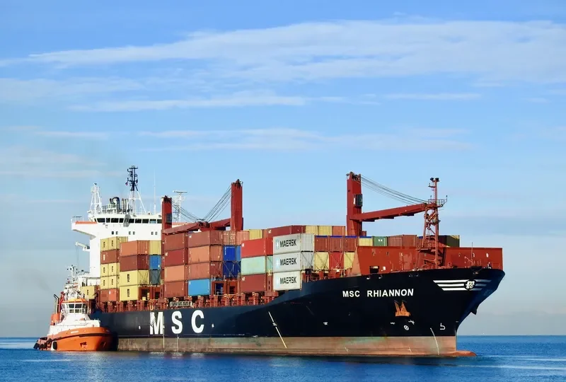 MSC RHIANNON Container Ship IMO 9224051 photo 2