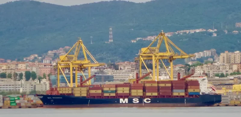MSC RHIANNON Container Ship IMO 9224051 photo 8
