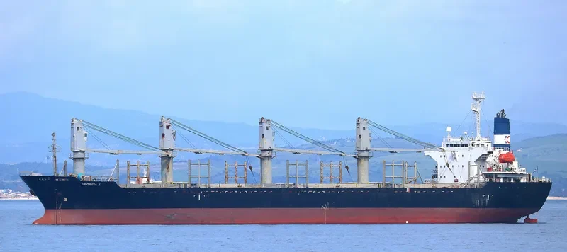 GEORGIA K Bulk Carrier IMO 9224099 photo 2
