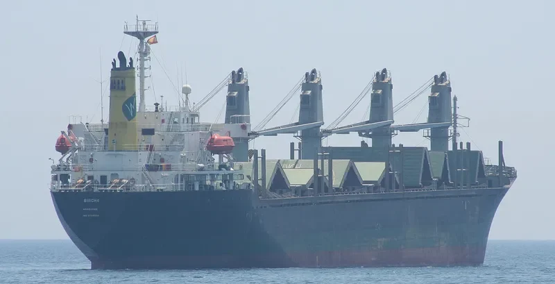 GEORGIA K Bulk Carrier IMO 9224099 photo 3