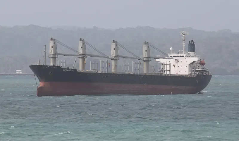 GEORGIA K Bulk Carrier IMO 9224099 photo 8