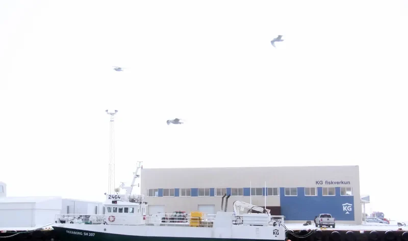 SOLBORG General Cargo IMO 9224245 photo 5