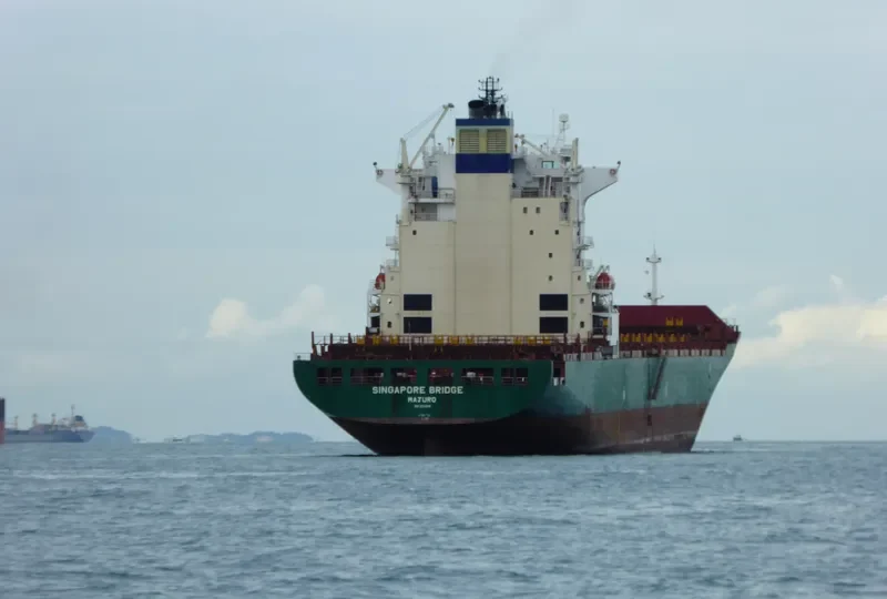 SINGAPORE BRIDGE Container Ship IMO 9224348
