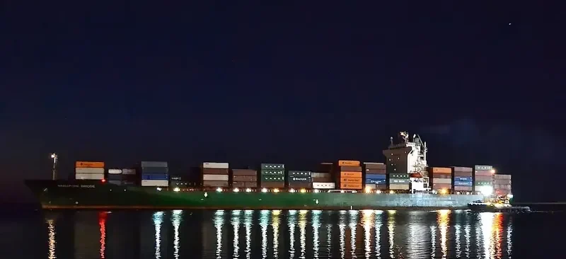 SINGAPORE BRIDGE Container Ship IMO 9224348 photo 3