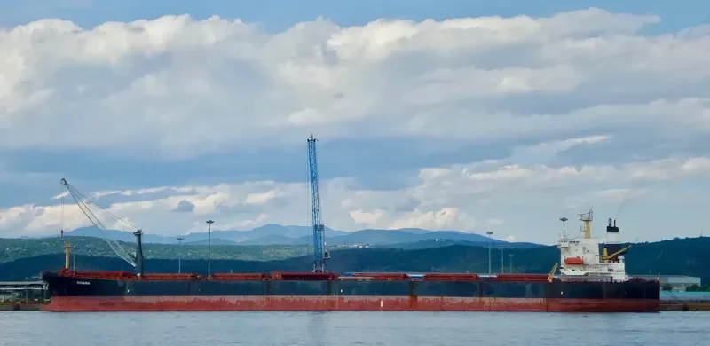 XIN YANG XIN SHI DAI Bulk Carrier IMO 9224477 photo 3