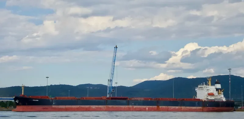 XIN YANG XIN SHI DAI Bulk Carrier IMO 9224477 photo 4