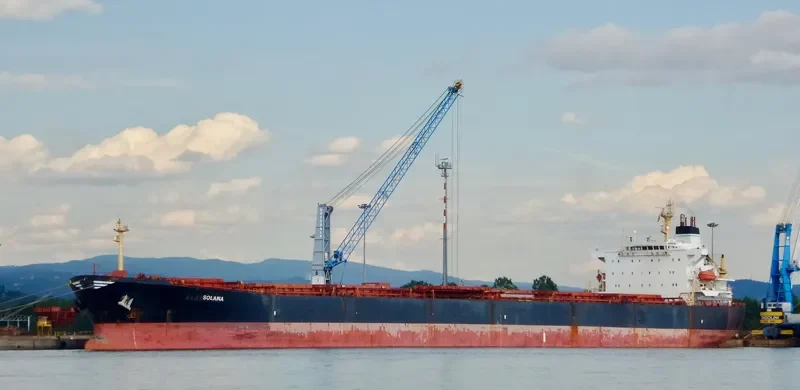 XIN YANG XIN SHI DAI Bulk Carrier IMO 9224477 photo 6