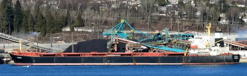 XIN YANG XIN SHI DAI Bulk Carrier IMO 9224477 photo 7
