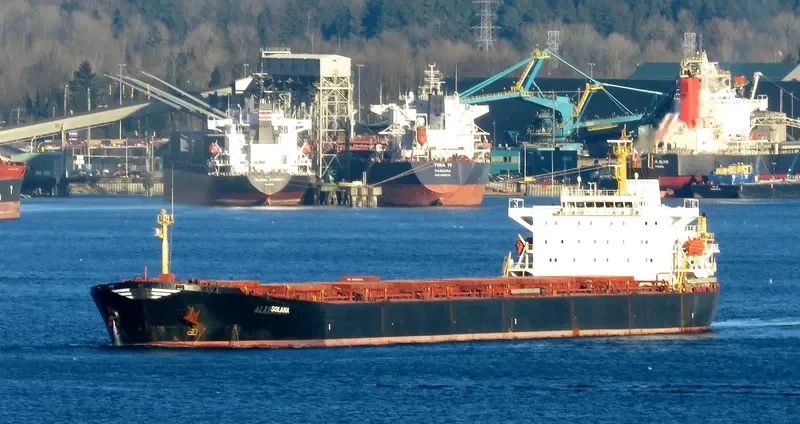 XIN YANG XIN SHI DAI Bulk Carrier IMO 9224477 photo 8