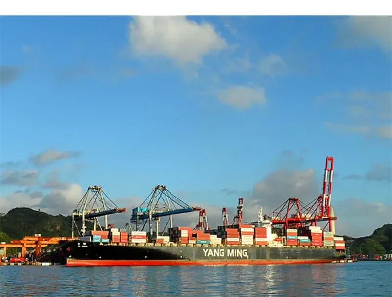 YM GREEN Container Ship IMO 9224491 photo 5