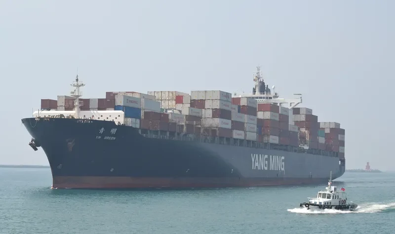 YM GREEN Container Ship IMO 9224491 photo 8