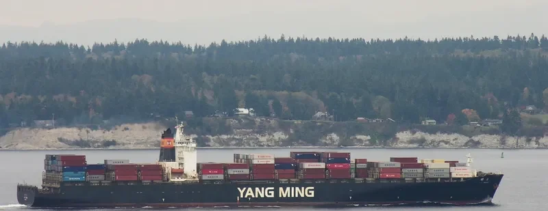 YM GREEN Container Ship IMO 9224491 photo 9