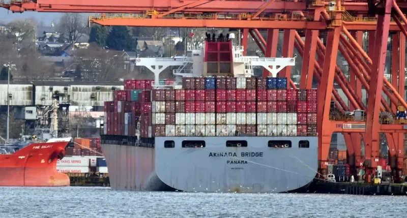 AKINADA BRIDGE Container Ship IMO 9224532