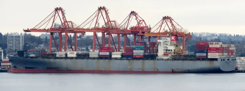 AKINADA BRIDGE Container Ship IMO 9224532 photo 3