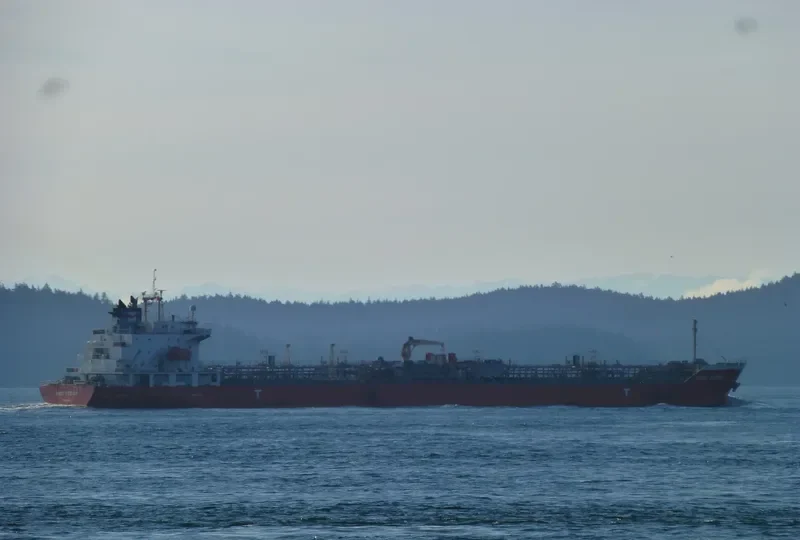 AKINADA BRIDGE Container Ship IMO 9224532 photo 6