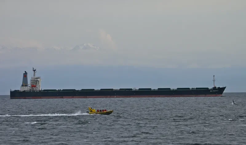 SHINYO BRILLIANCE Bulk Carrier IMO 9224635 photo 4
