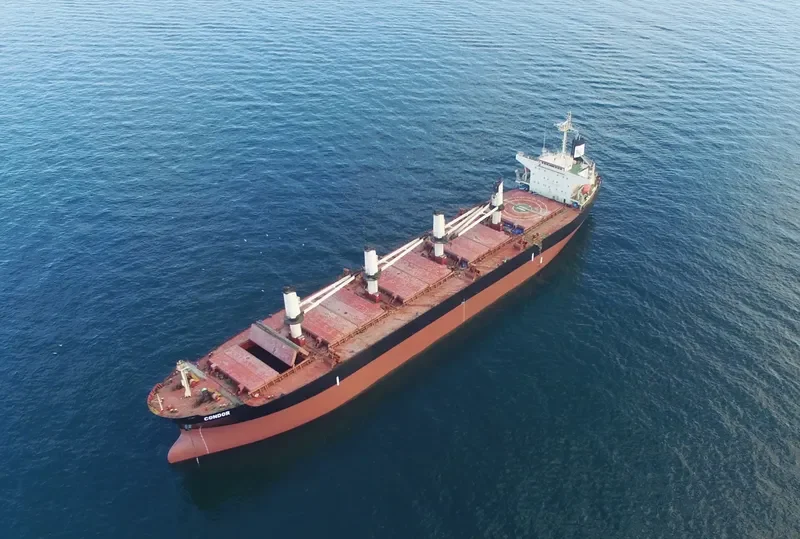 ASIAN WISDOM Bulk Carrier IMO 9224659 photo 3
