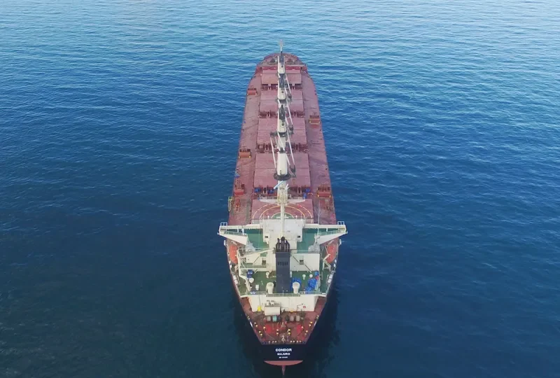 ASIAN WISDOM Bulk Carrier IMO 9224659 photo 4