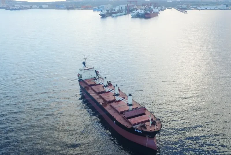 ASIAN WISDOM Bulk Carrier IMO 9224659 photo 6