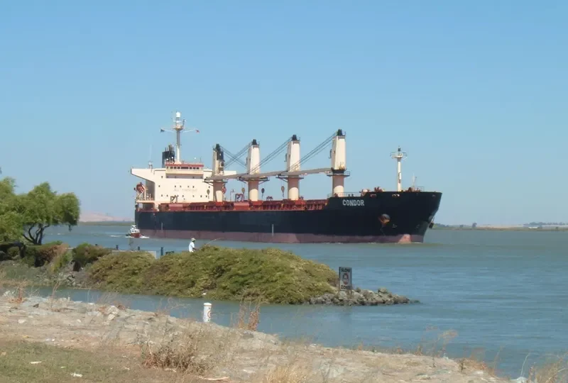 ASIAN WISDOM Bulk Carrier IMO 9224659 photo 7