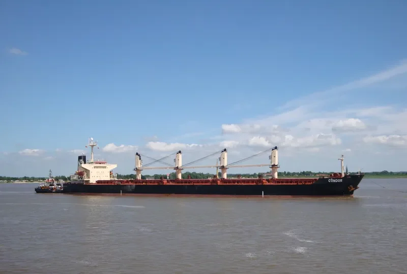 ASIAN WISDOM Bulk Carrier IMO 9224659 photo 8