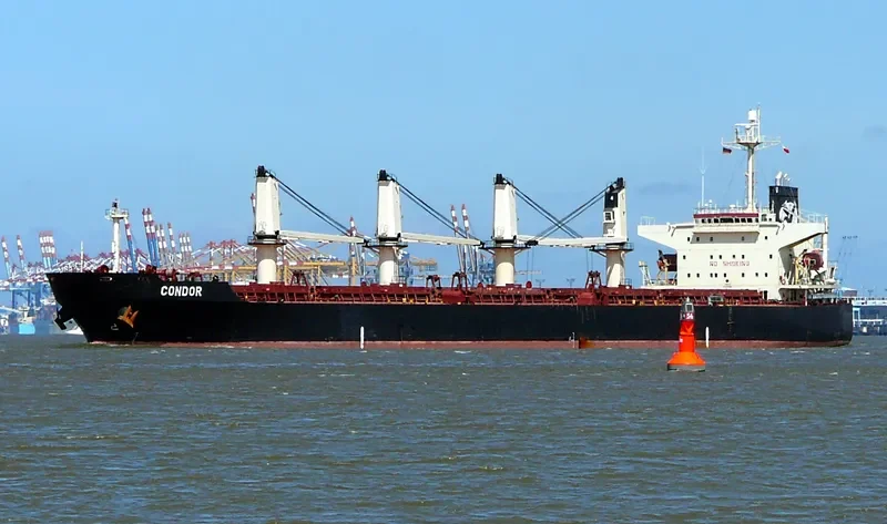 ASIAN WISDOM Bulk Carrier IMO 9224659 photo 10