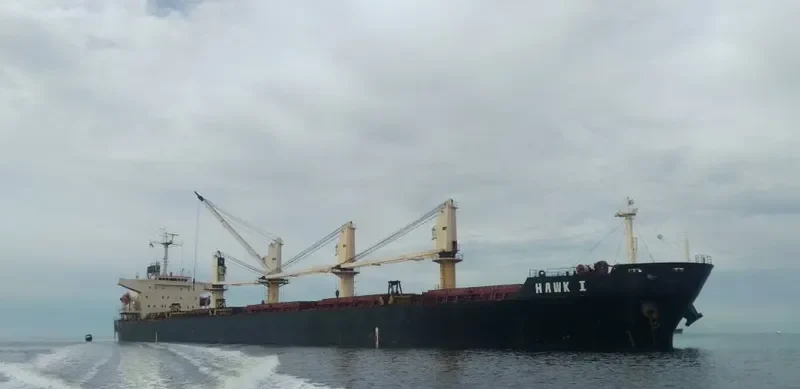 MERCURIUS Bulk Carrier IMO 9224661