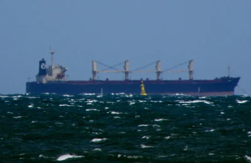 MERCURIUS Bulk Carrier IMO 9224661 photo 7