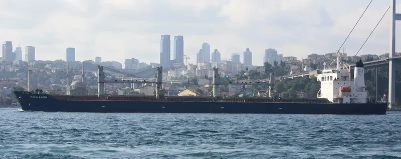 HALIL SAHIN Bulk Carrier IMO 9224673 photo 5