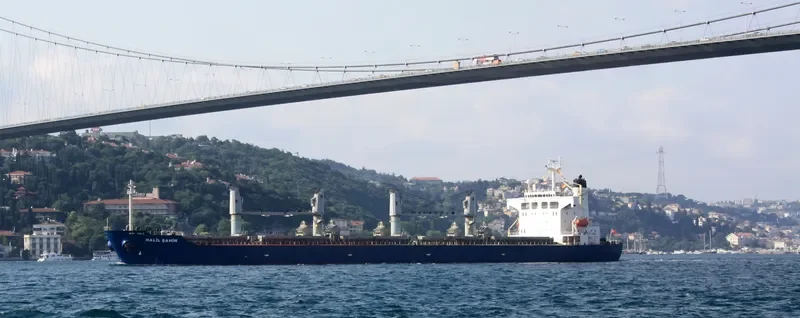 HALIL SAHIN Bulk Carrier IMO 9224673 photo 6