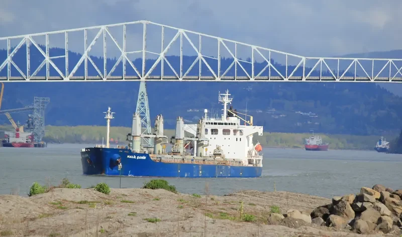 HALIL SAHIN Bulk Carrier IMO 9224673 photo 7