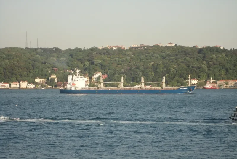 HALIL SAHIN Bulk Carrier IMO 9224673 photo 8
