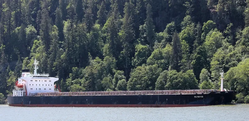 OLYMPOS Bulk Carrier IMO 9224714 photo 2