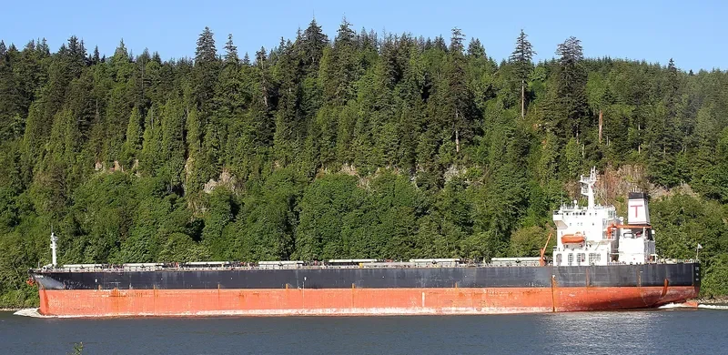 OLYMPOS Bulk Carrier IMO 9224714 photo 4