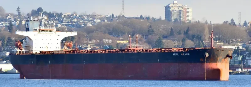 ABML GRACE Bulk Carrier IMO 9224738 photo 4