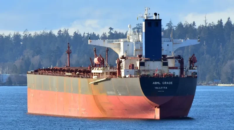 ABML GRACE Bulk Carrier IMO 9224738 photo 5