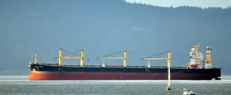 ZHE NENG 1 Bulk Carrier IMO 9224788