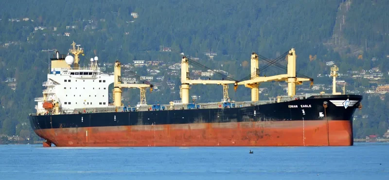 ZHE NENG 1 Bulk Carrier IMO 9224788 photo 2