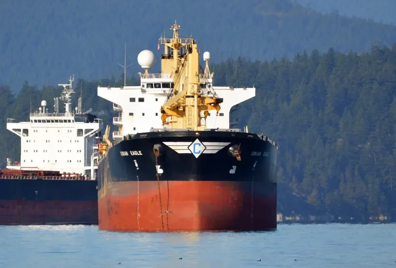 ZHE NENG 1 Bulk Carrier IMO 9224788 photo 4