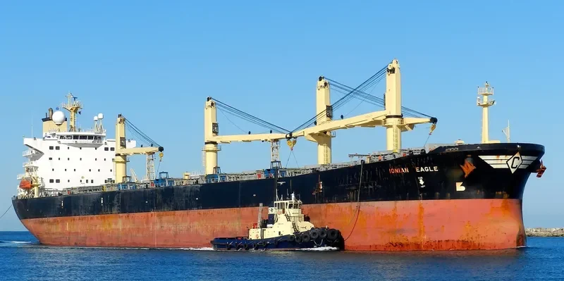 ZHE NENG 1 Bulk Carrier IMO 9224788 photo 8