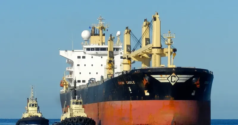 ZHE NENG 1 Bulk Carrier IMO 9224788 photo 9