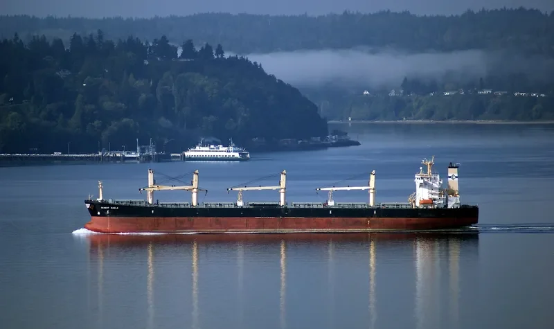 DESERT EAGLE Bulk Carrier IMO 9224790 photo 8