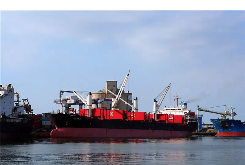 ARAYA Bulk Carrier IMO 9224843
