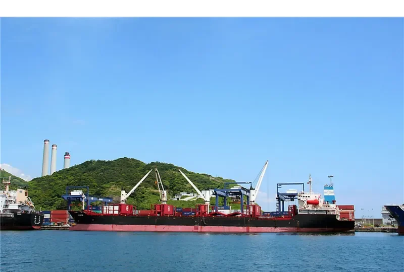 ARAYA Bulk Carrier IMO 9224843 photo 2