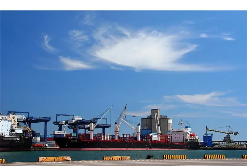 ARAYA Bulk Carrier IMO 9224843 photo 3