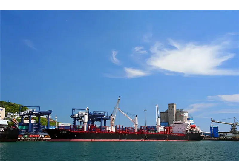 ARAYA Bulk Carrier IMO 9224843 photo 4