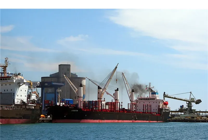 ARAYA Bulk Carrier IMO 9224843 photo 5
