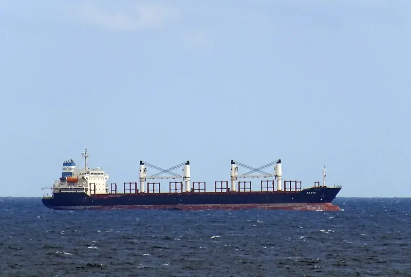 ARAYA Bulk Carrier IMO 9224843 photo 6
