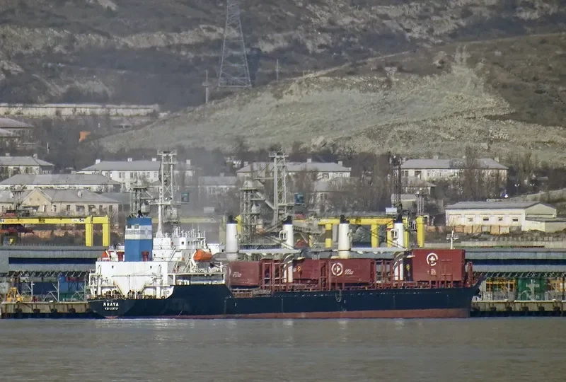 ARAYA Bulk Carrier IMO 9224843 photo 7